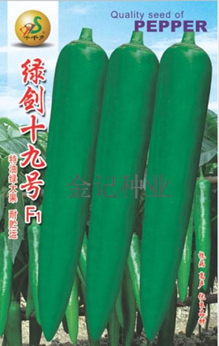绿剑19号辣椒种子